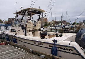 Fishing Charters