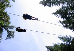 Zipline Adventure Tours