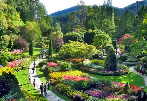 Butchart Gardens